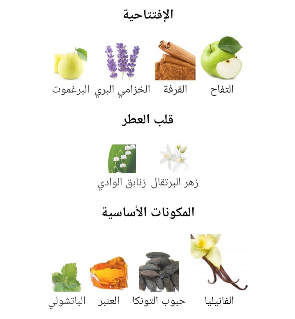 ⁦عطر 9PM افنان 100 مل⁩ - الصورة ⁦4⁩